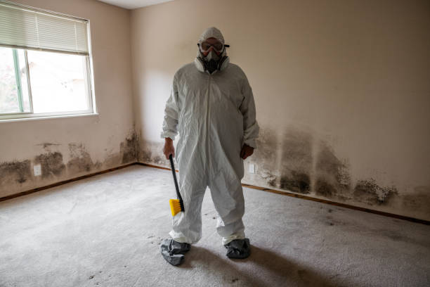 Auburn, CA Mold Remediation Company